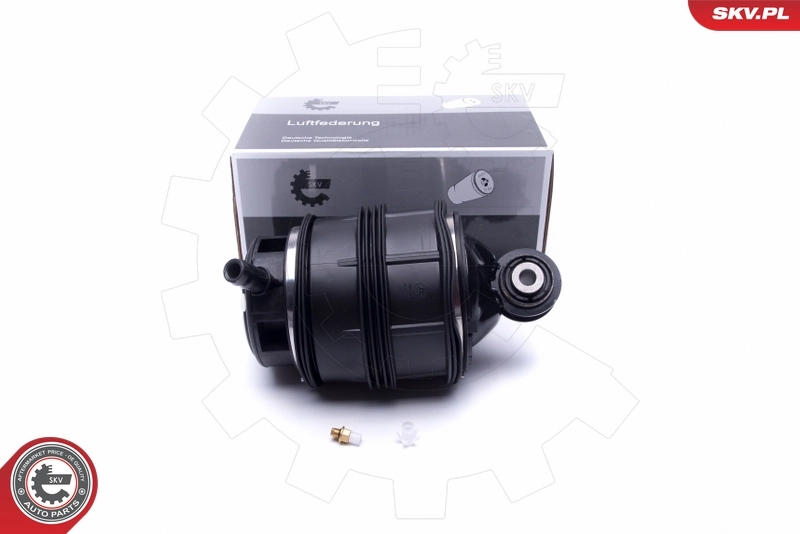 Air Spring, suspension